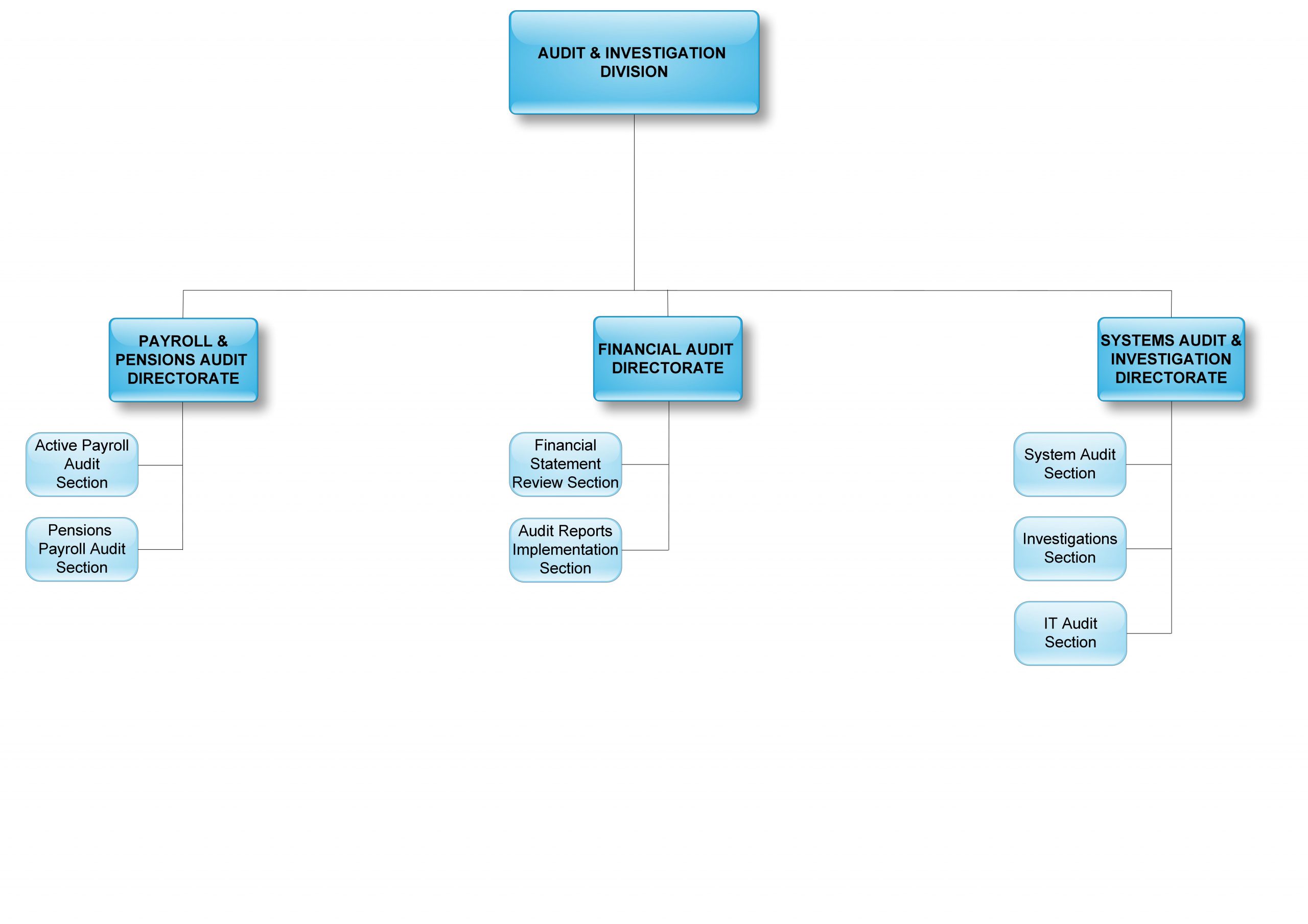 Audit_Final_OHCS